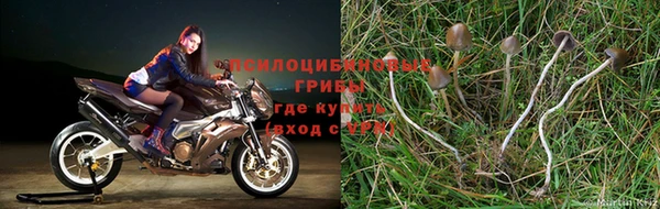 героин Приозерск