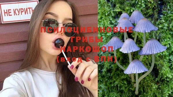 гашик Вязники