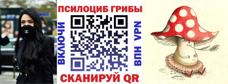 купить наркоту  Ардон  Галлюциногенные грибы MAGIC MUSHROOMS 